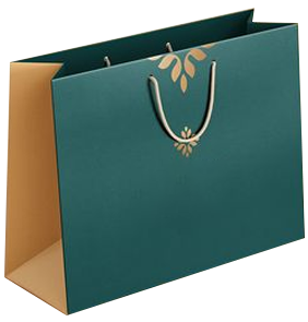 Custom Paper Bags